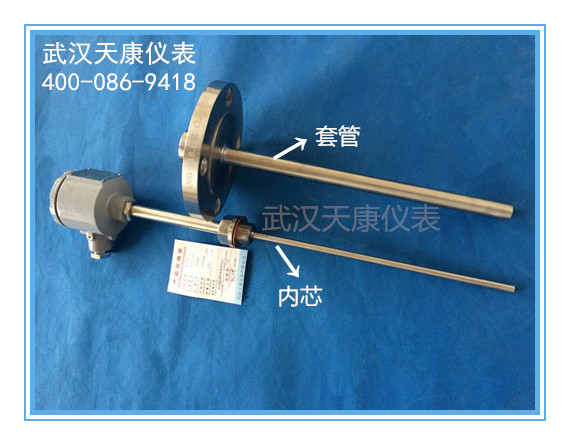抽芯式防爆热电阻/pt100热电阻